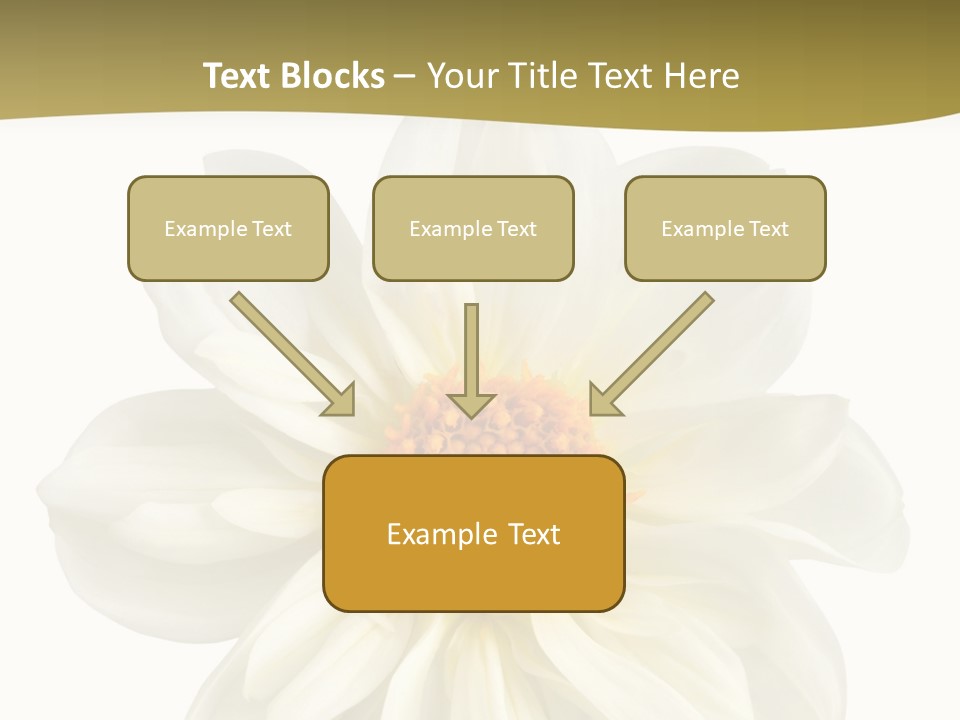 A White Flower With Yellow Center On A White Background PowerPoint Template