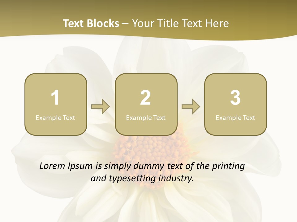 A White Flower With Yellow Center On A White Background PowerPoint Template