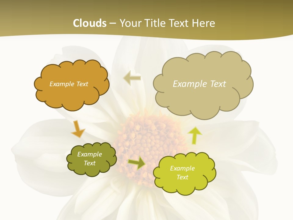 A White Flower With Yellow Center On A White Background PowerPoint Template