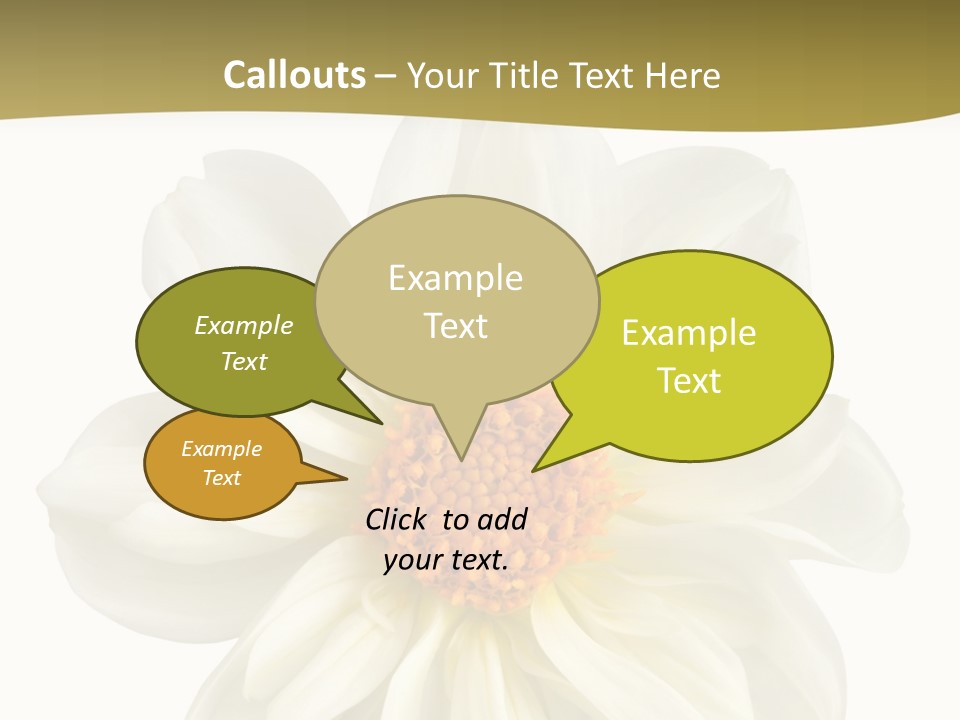 A White Flower With Yellow Center On A White Background PowerPoint Template