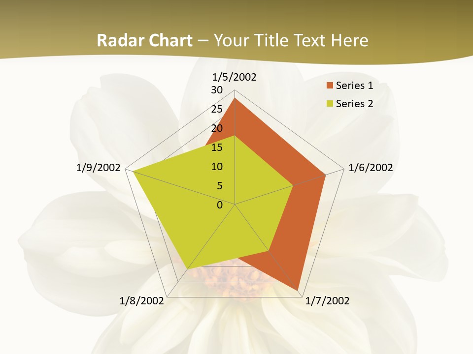 A White Flower With Yellow Center On A White Background PowerPoint Template