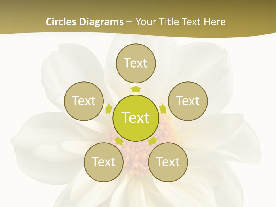 A White Flower With Yellow Center On A White Background PowerPoint Template