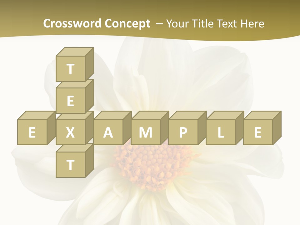 A White Flower With Yellow Center On A White Background PowerPoint Template