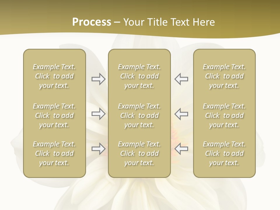 A White Flower With Yellow Center On A White Background PowerPoint Template