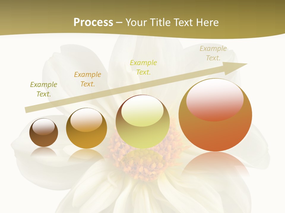 A White Flower With Yellow Center On A White Background PowerPoint Template