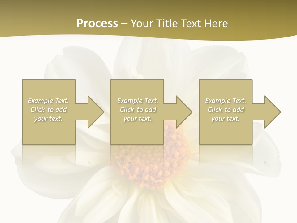 A White Flower With Yellow Center On A White Background PowerPoint Template