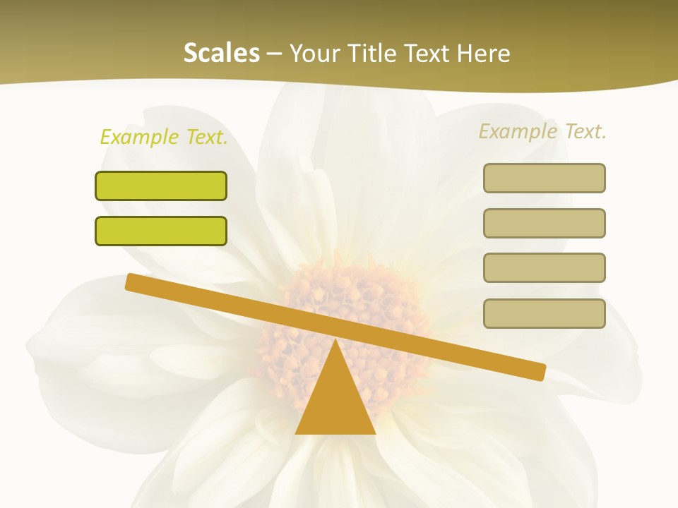 A White Flower With Yellow Center On A White Background PowerPoint Template