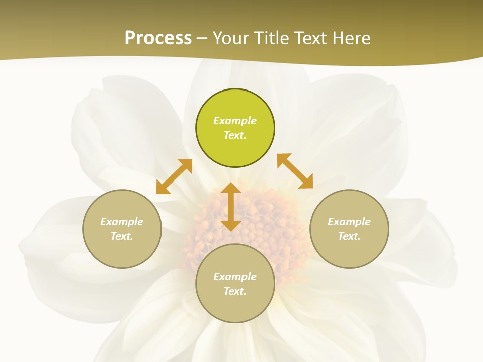 A White Flower With Yellow Center On A White Background PowerPoint Template