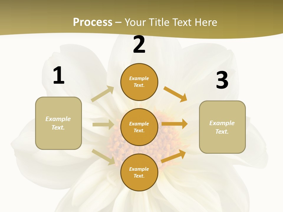 A White Flower With Yellow Center On A White Background PowerPoint Template
