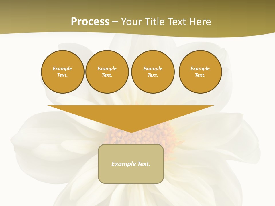 A White Flower With Yellow Center On A White Background PowerPoint Template