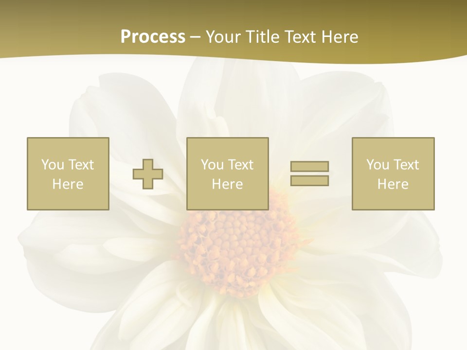 A White Flower With Yellow Center On A White Background PowerPoint Template