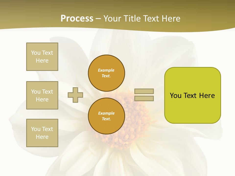 A White Flower With Yellow Center On A White Background PowerPoint Template