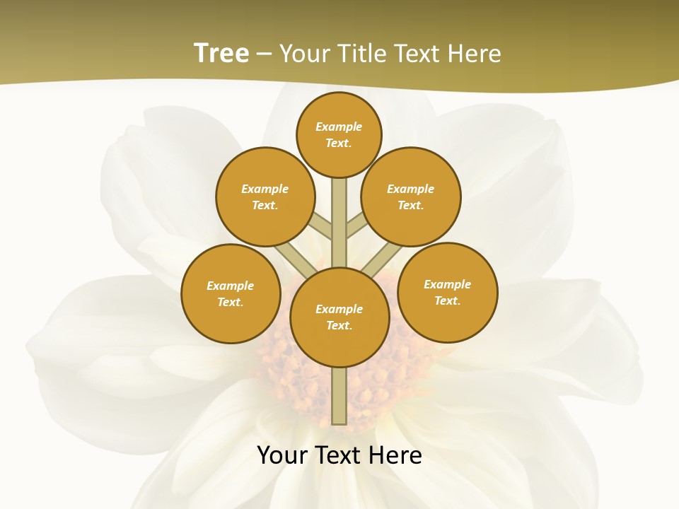 A White Flower With Yellow Center On A White Background PowerPoint Template