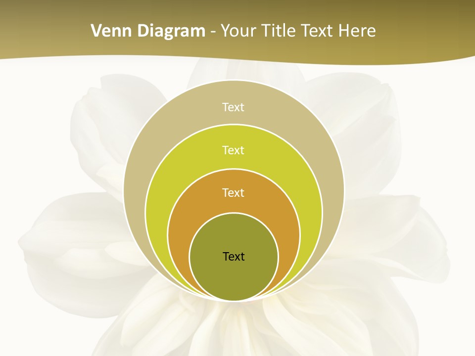 A White Flower With Yellow Center On A White Background PowerPoint Template