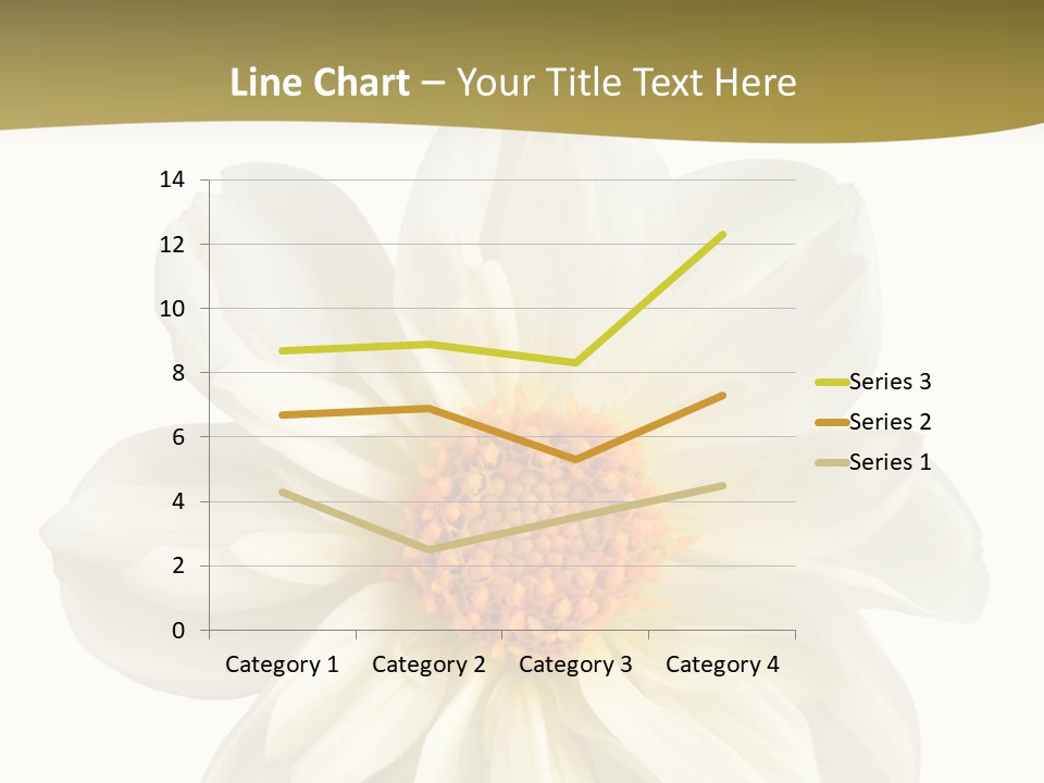 A White Flower With Yellow Center On A White Background PowerPoint Template