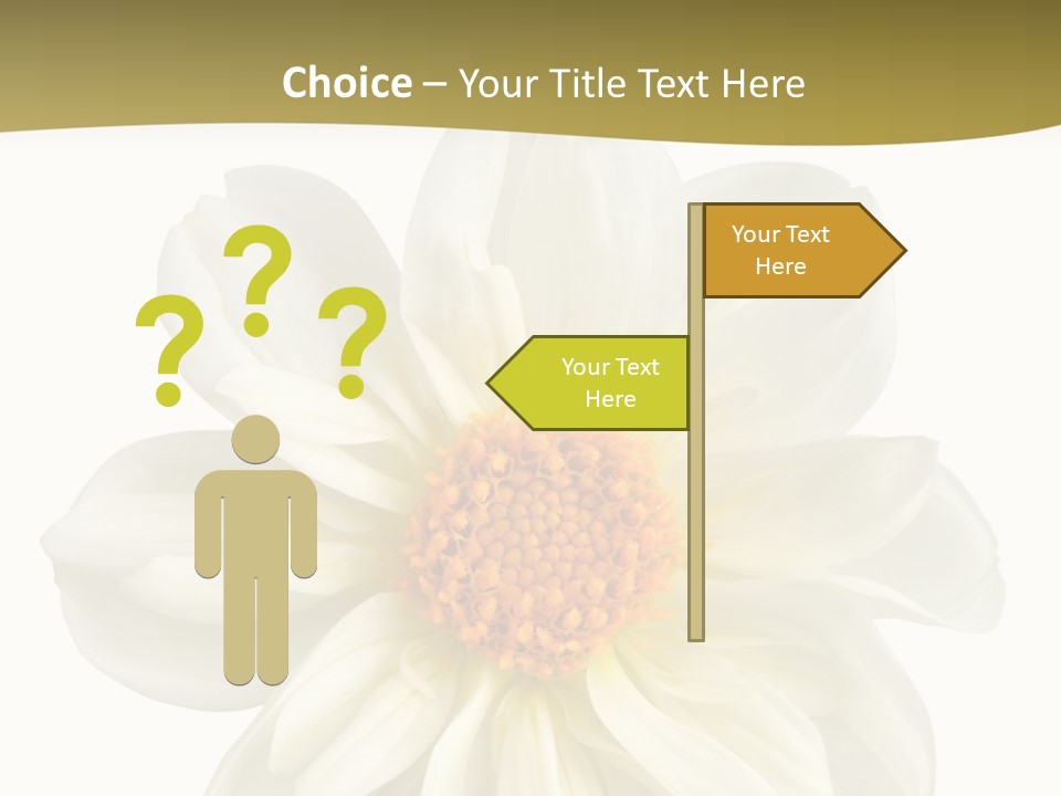 A White Flower With Yellow Center On A White Background PowerPoint Template