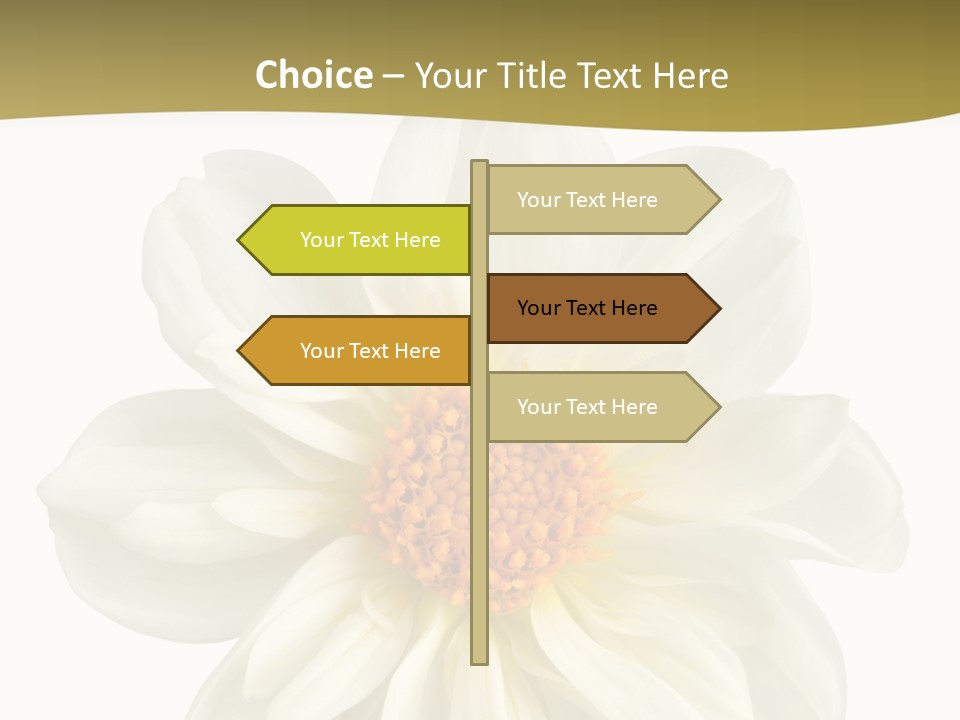 A White Flower With Yellow Center On A White Background PowerPoint Template