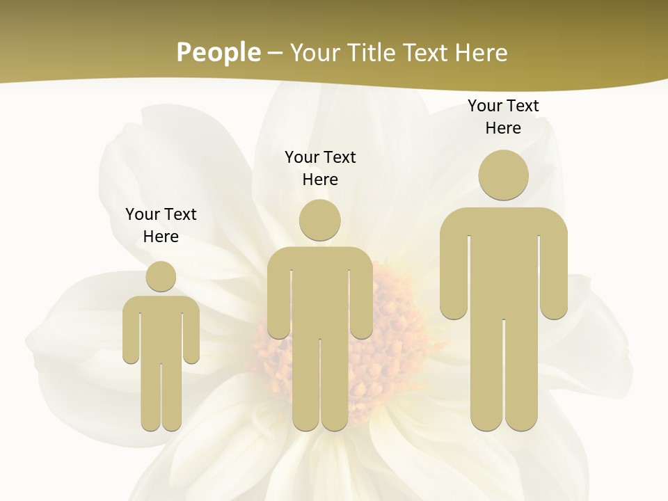 A White Flower With Yellow Center On A White Background PowerPoint Template