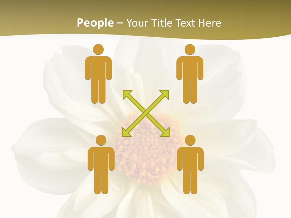 A White Flower With Yellow Center On A White Background PowerPoint Template