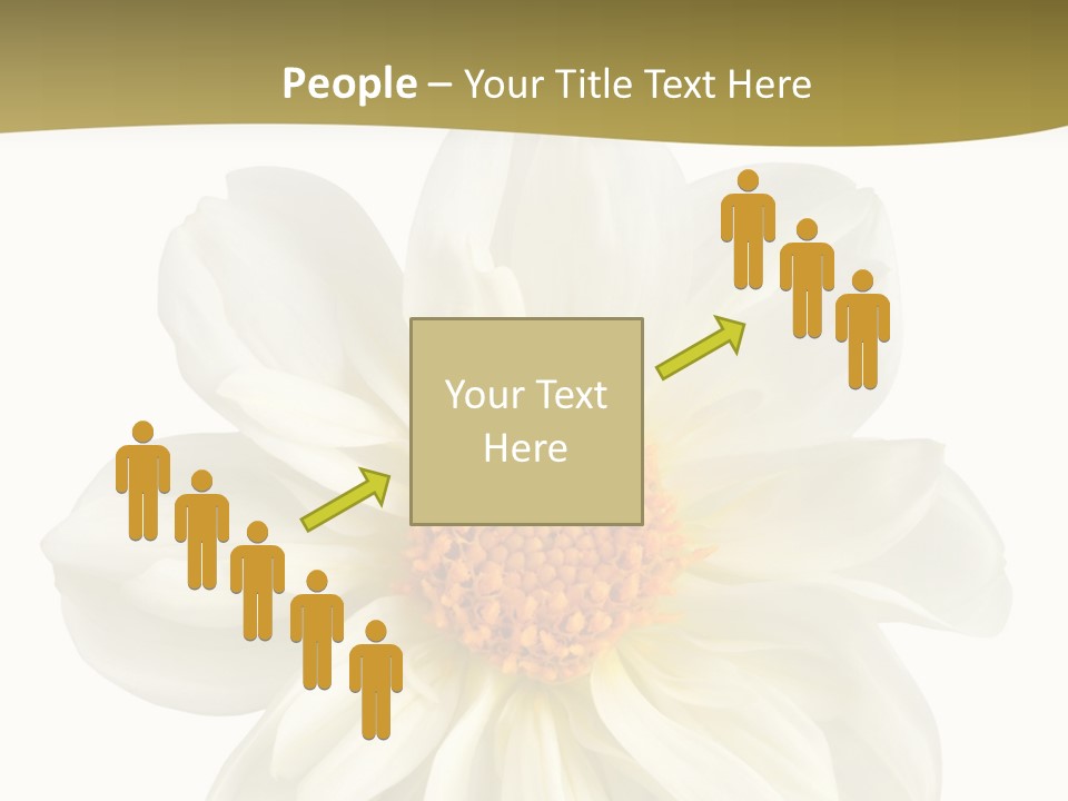 A White Flower With Yellow Center On A White Background PowerPoint Template