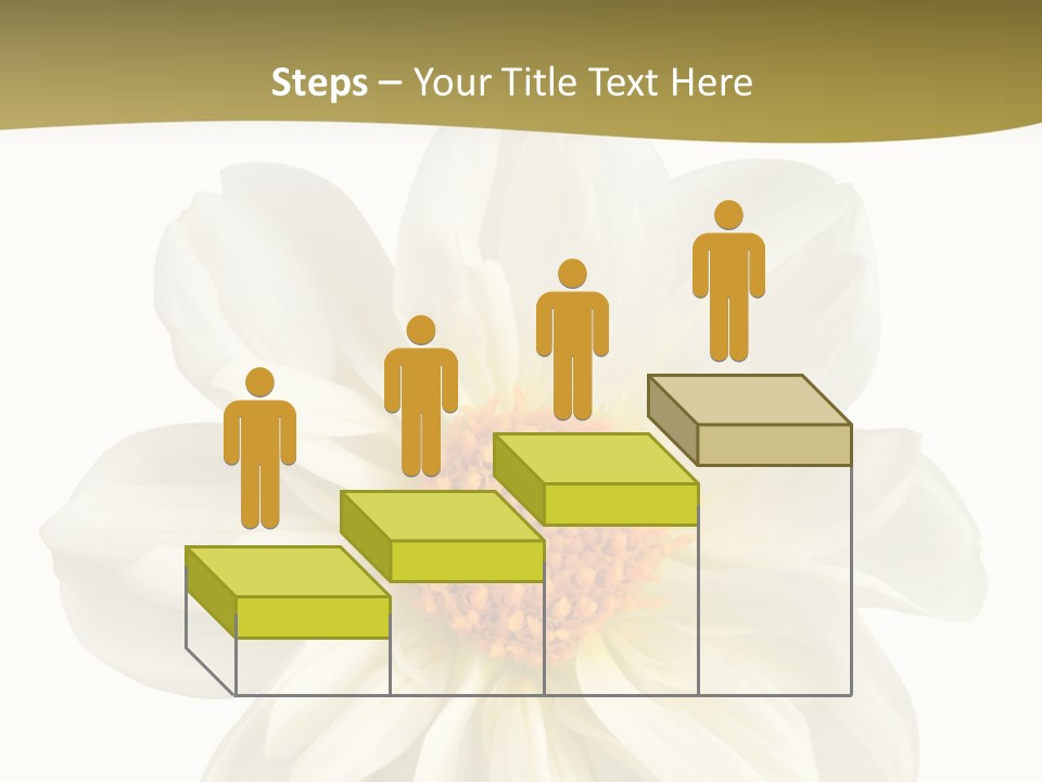 A White Flower With Yellow Center On A White Background PowerPoint Template