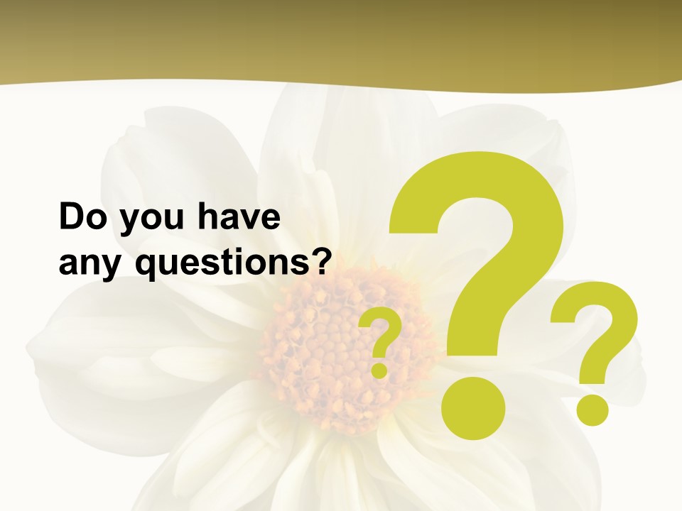 A White Flower With Yellow Center On A White Background PowerPoint Template