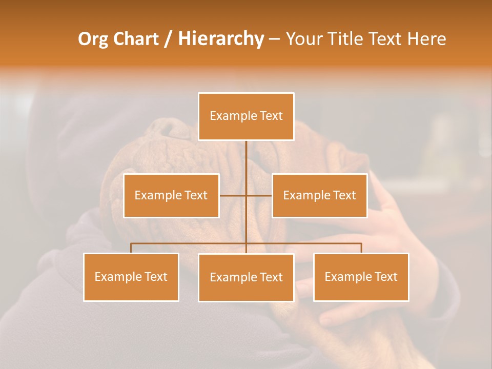 Outdoors Fit Active PowerPoint Template