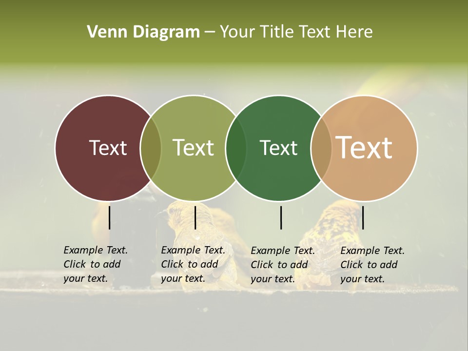 Paper Empty Office PowerPoint Template