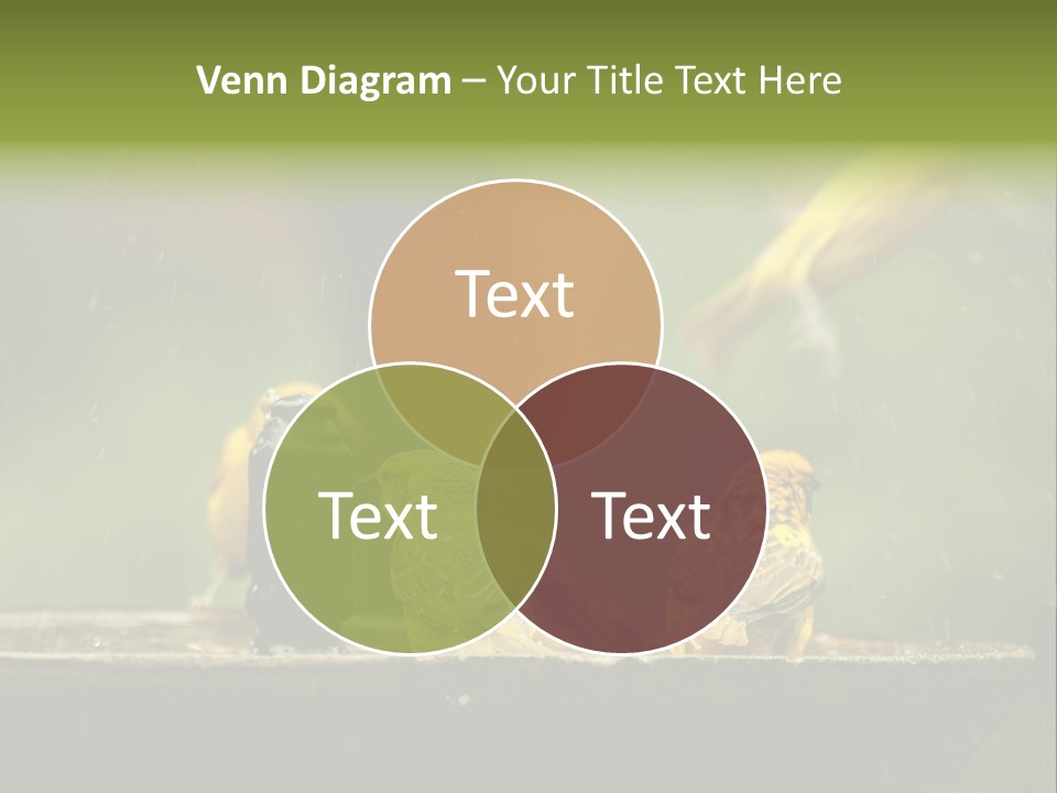 Paper Empty Office PowerPoint Template