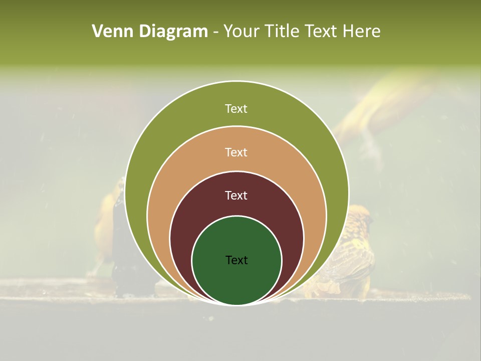 Paper Empty Office PowerPoint Template