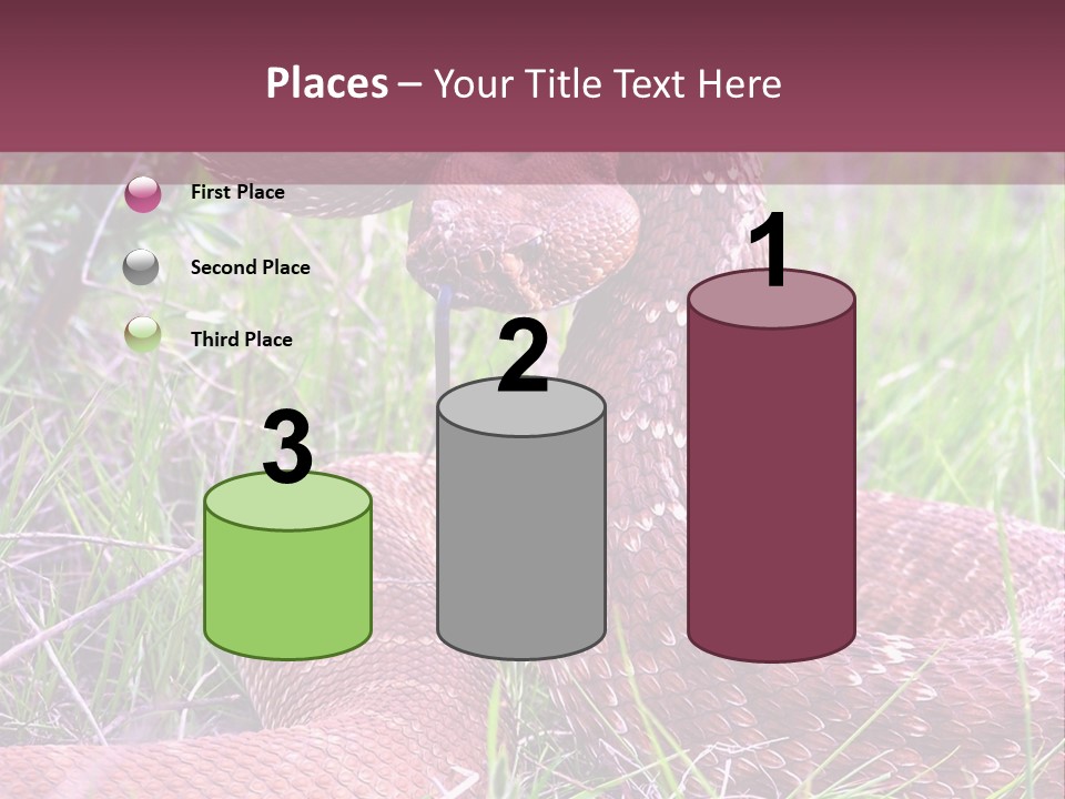 Rattlesnake Tongue Diamond PowerPoint Template