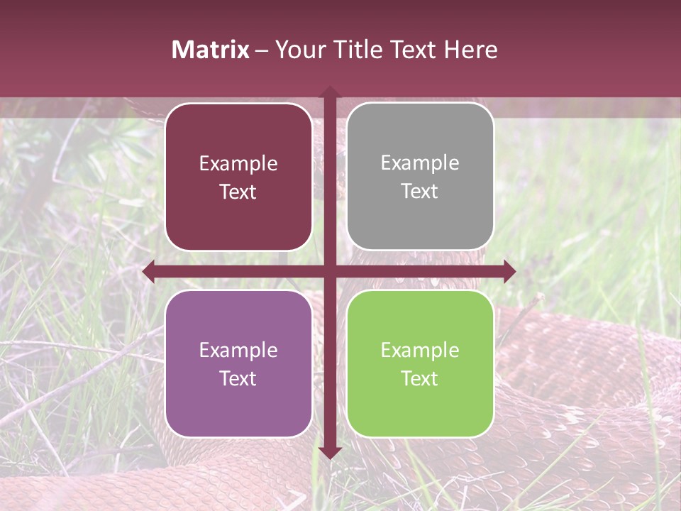 Rattlesnake Tongue Diamond PowerPoint Template