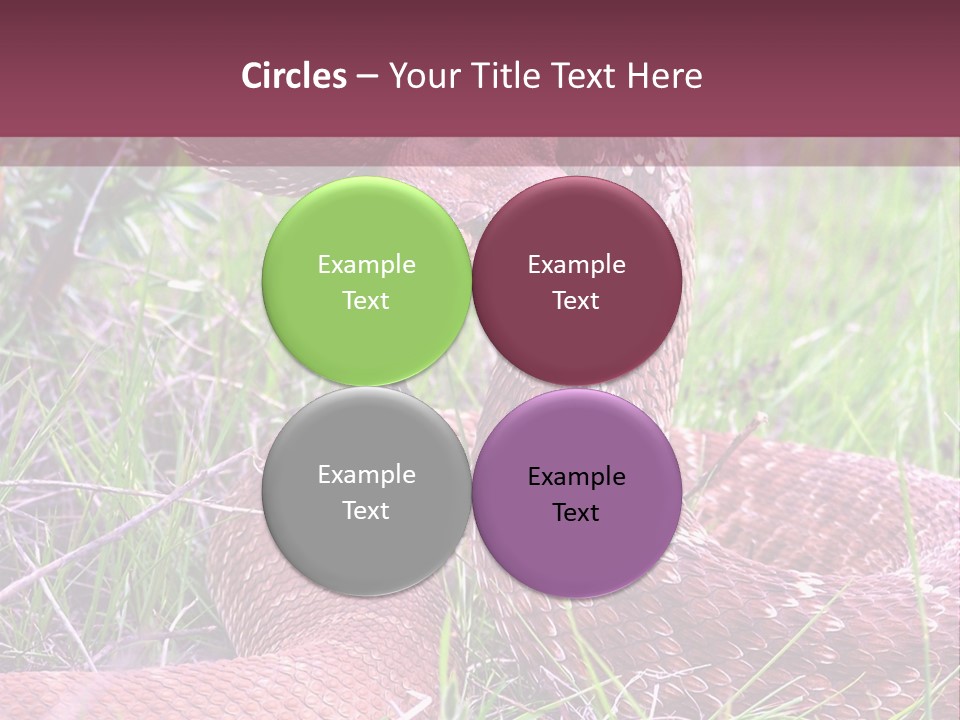 Rattlesnake Tongue Diamond PowerPoint Template