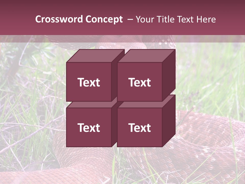 Rattlesnake Tongue Diamond PowerPoint Template