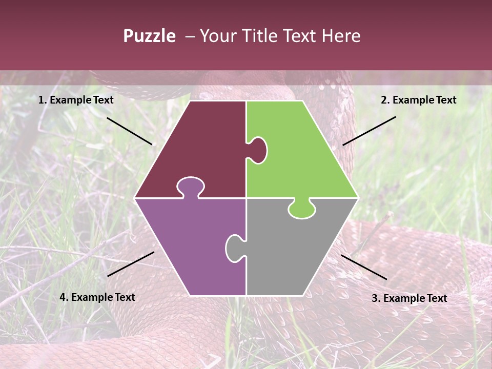 Rattlesnake Tongue Diamond PowerPoint Template