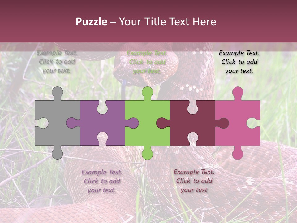 Rattlesnake Tongue Diamond PowerPoint Template