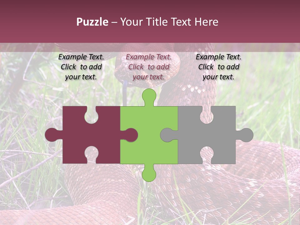 Rattlesnake Tongue Diamond PowerPoint Template