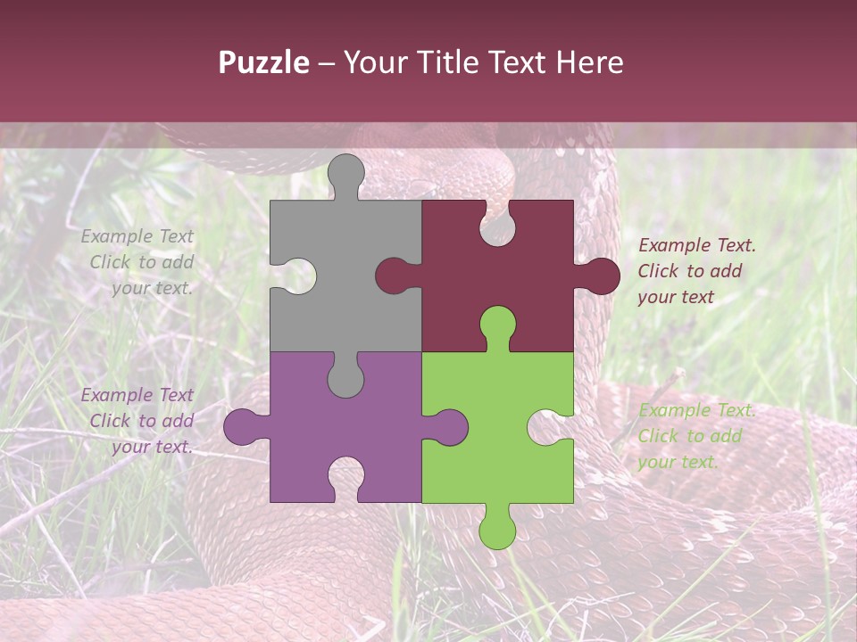Rattlesnake Tongue Diamond PowerPoint Template