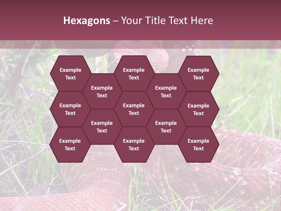 Rattlesnake Tongue Diamond PowerPoint Template