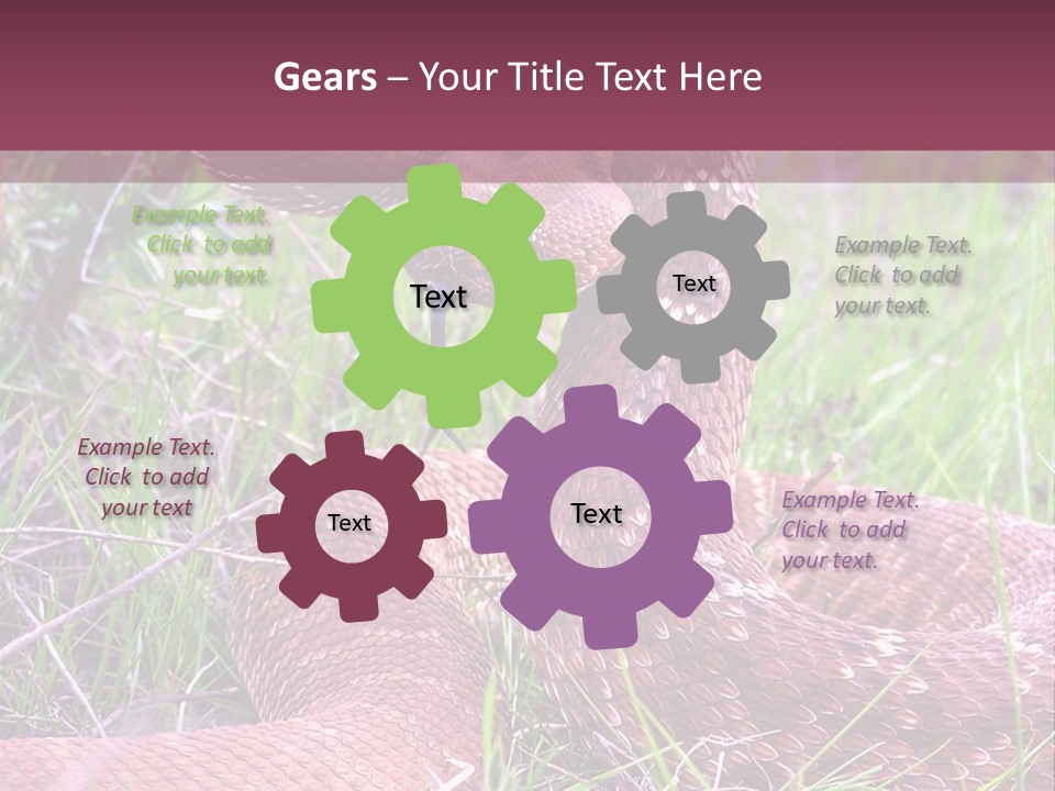 Rattlesnake Tongue Diamond PowerPoint Template