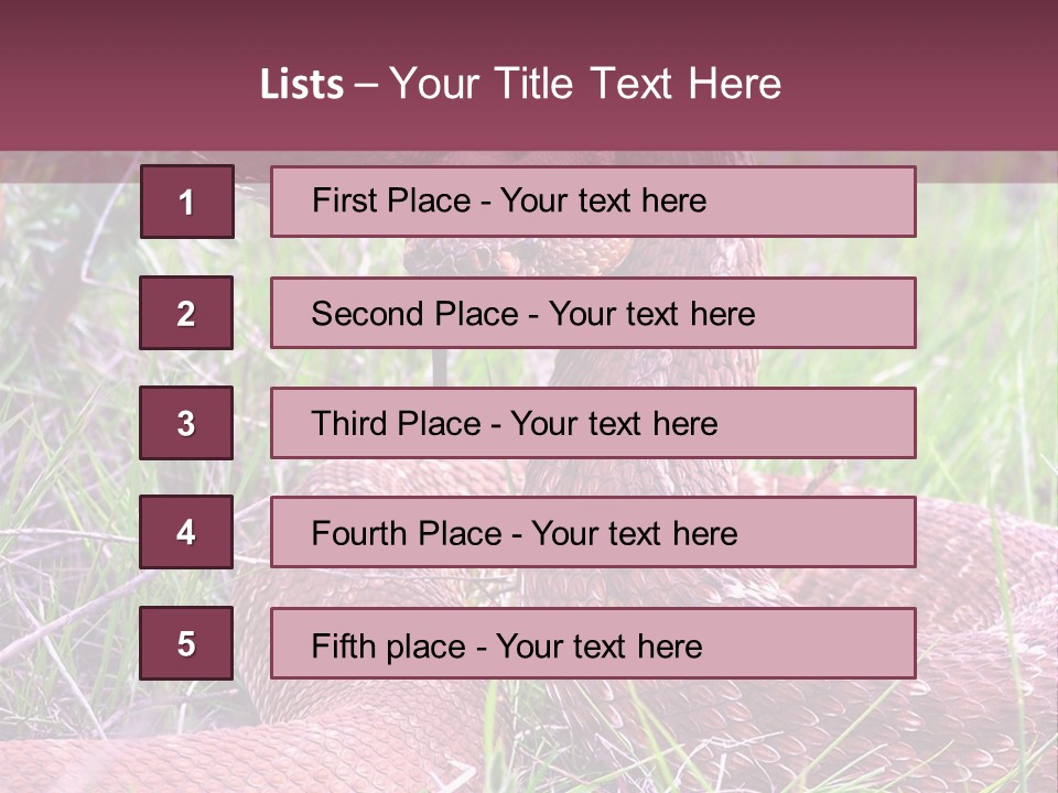Rattlesnake Tongue Diamond PowerPoint Template