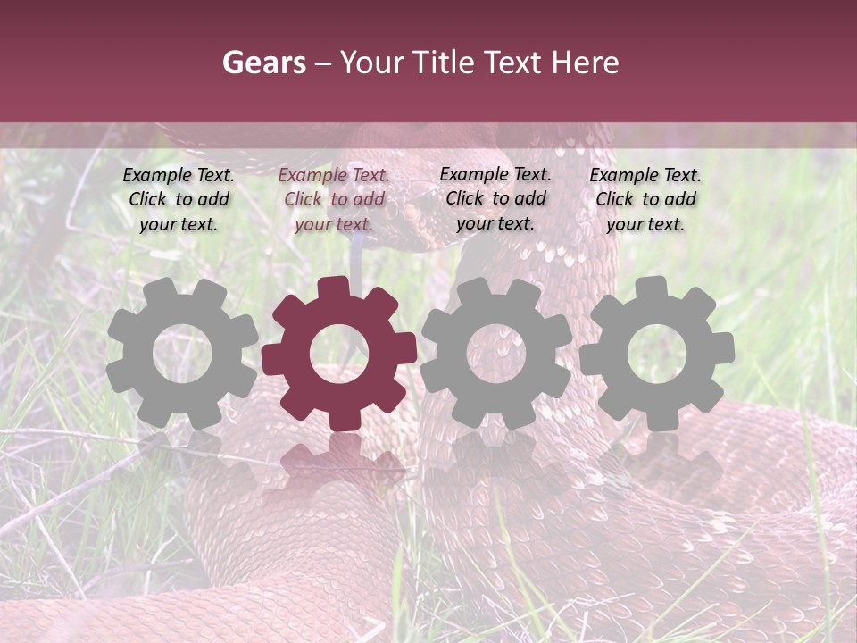 Rattlesnake Tongue Diamond PowerPoint Template