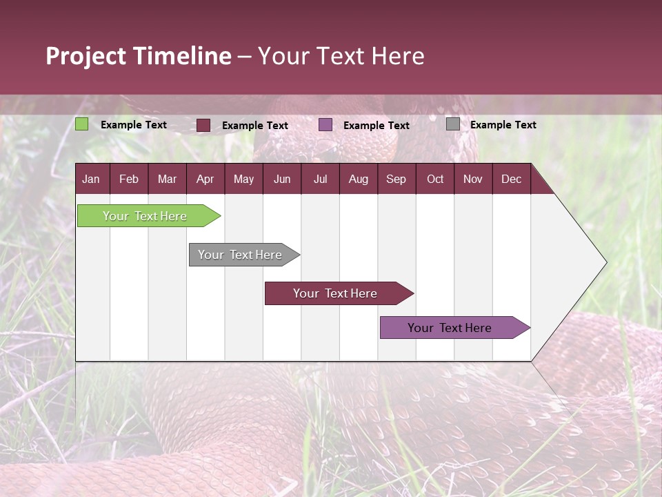 Rattlesnake Tongue Diamond PowerPoint Template