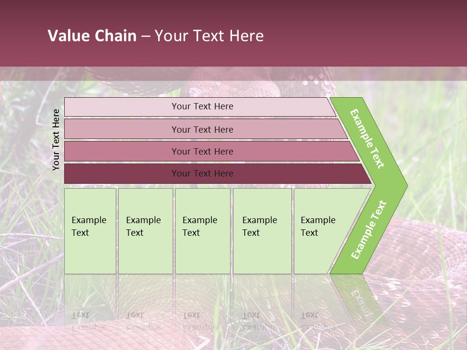 Rattlesnake Tongue Diamond PowerPoint Template