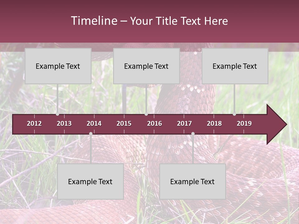 Rattlesnake Tongue Diamond PowerPoint Template