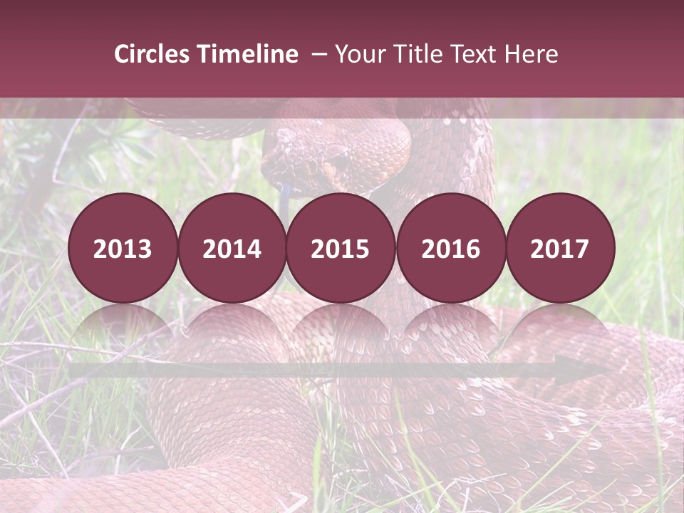 Rattlesnake Tongue Diamond PowerPoint Template