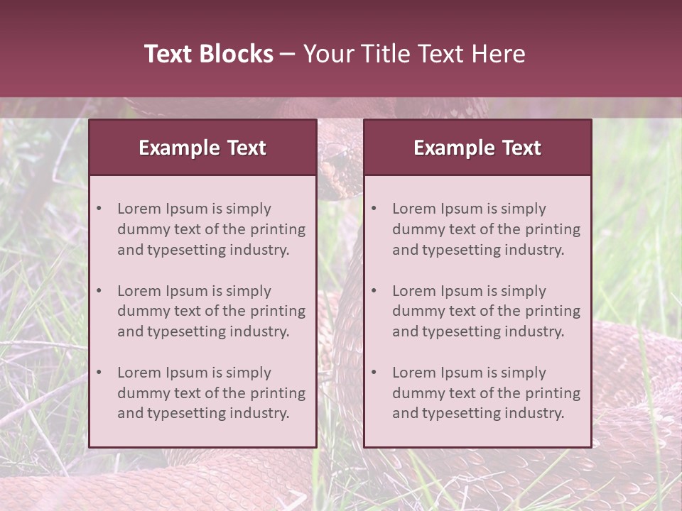 Rattlesnake Tongue Diamond PowerPoint Template