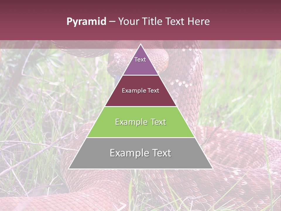 Rattlesnake Tongue Diamond PowerPoint Template