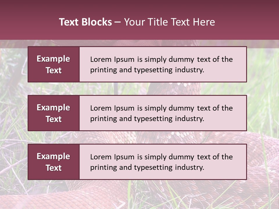 Rattlesnake Tongue Diamond PowerPoint Template