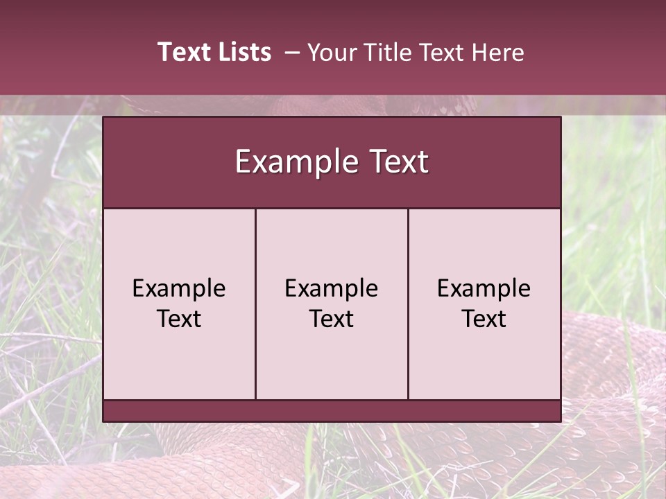 Rattlesnake Tongue Diamond PowerPoint Template
